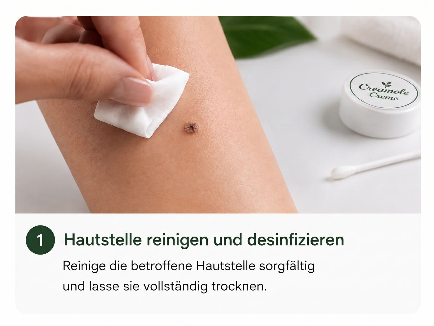 Vorbereitung