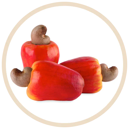 Cashewöl
